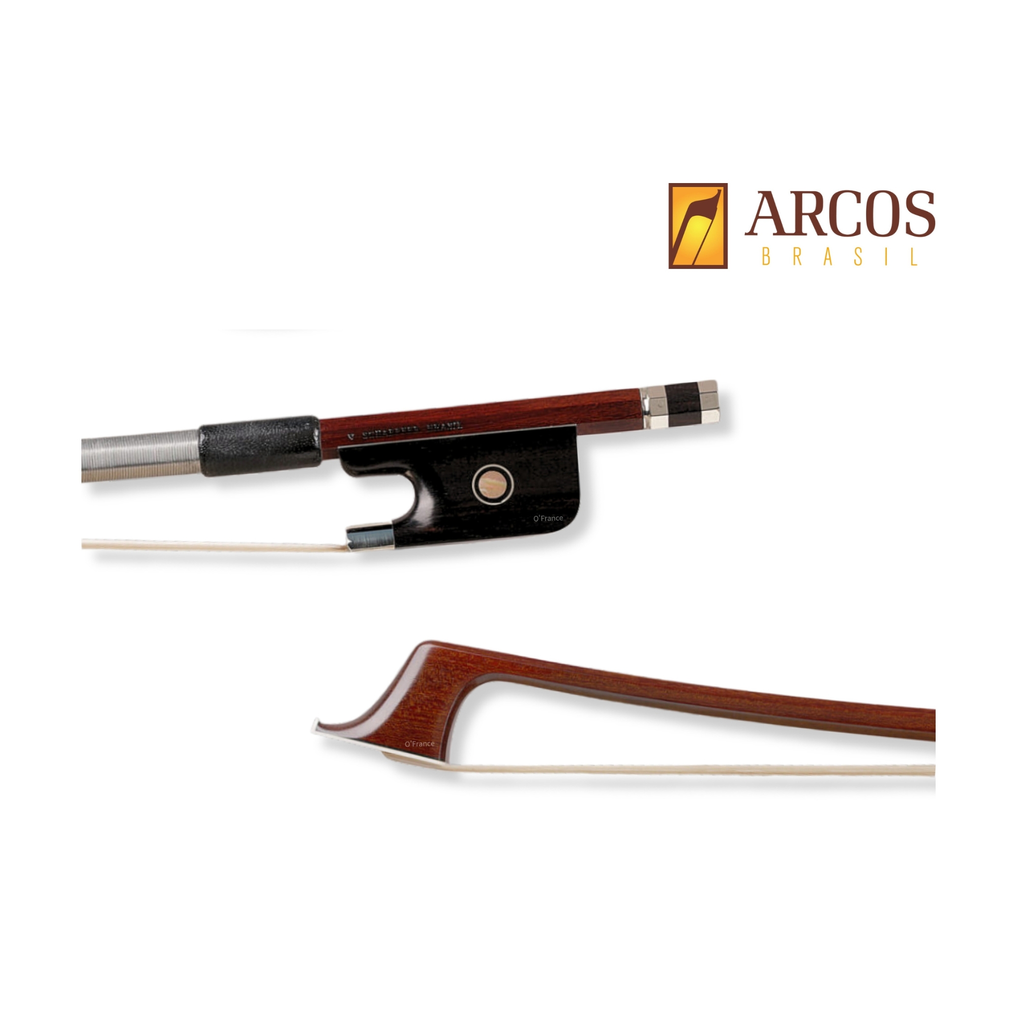 美國 Arcos 巴西蘇木弓 (Pernambuco)