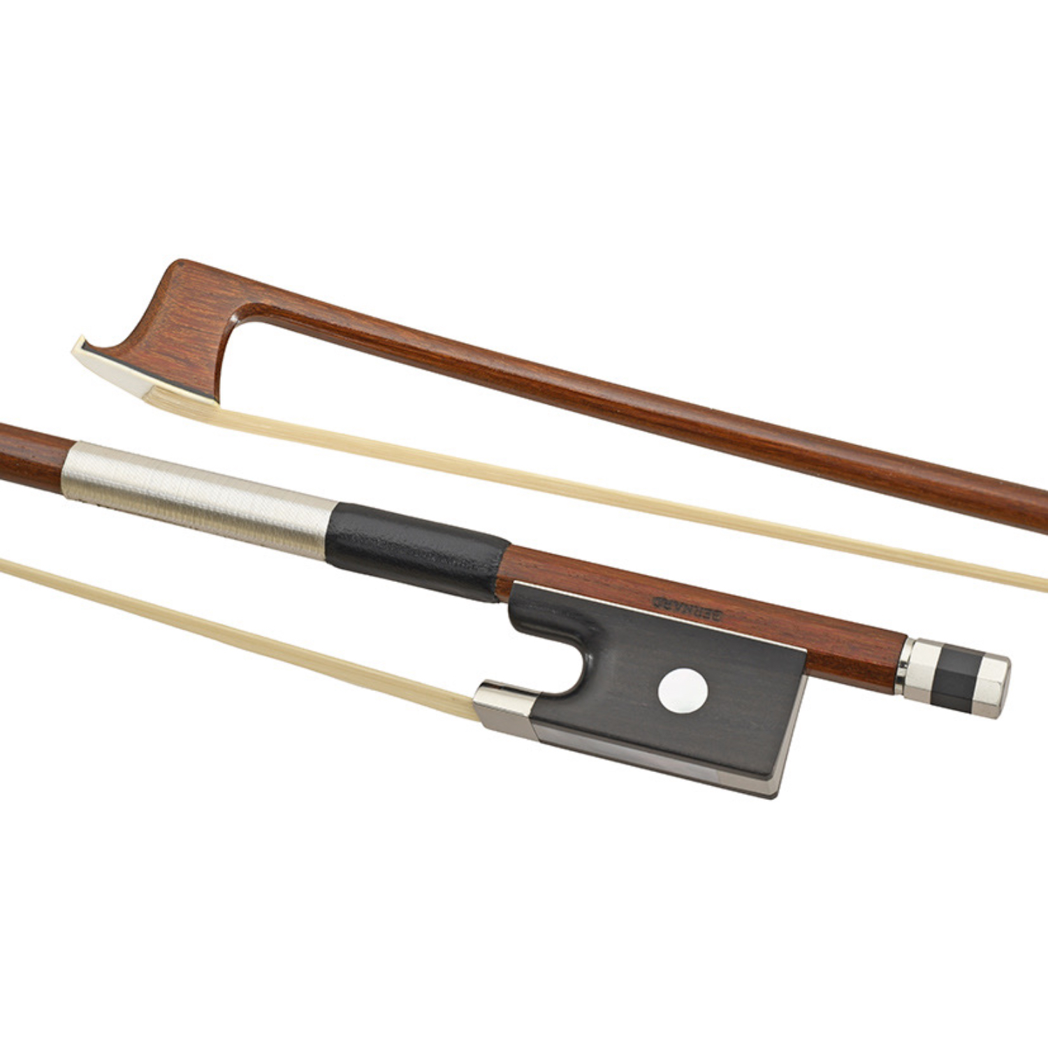 比利時 J.P. Bernard 巴西蘇木弓 (Pernambuco)