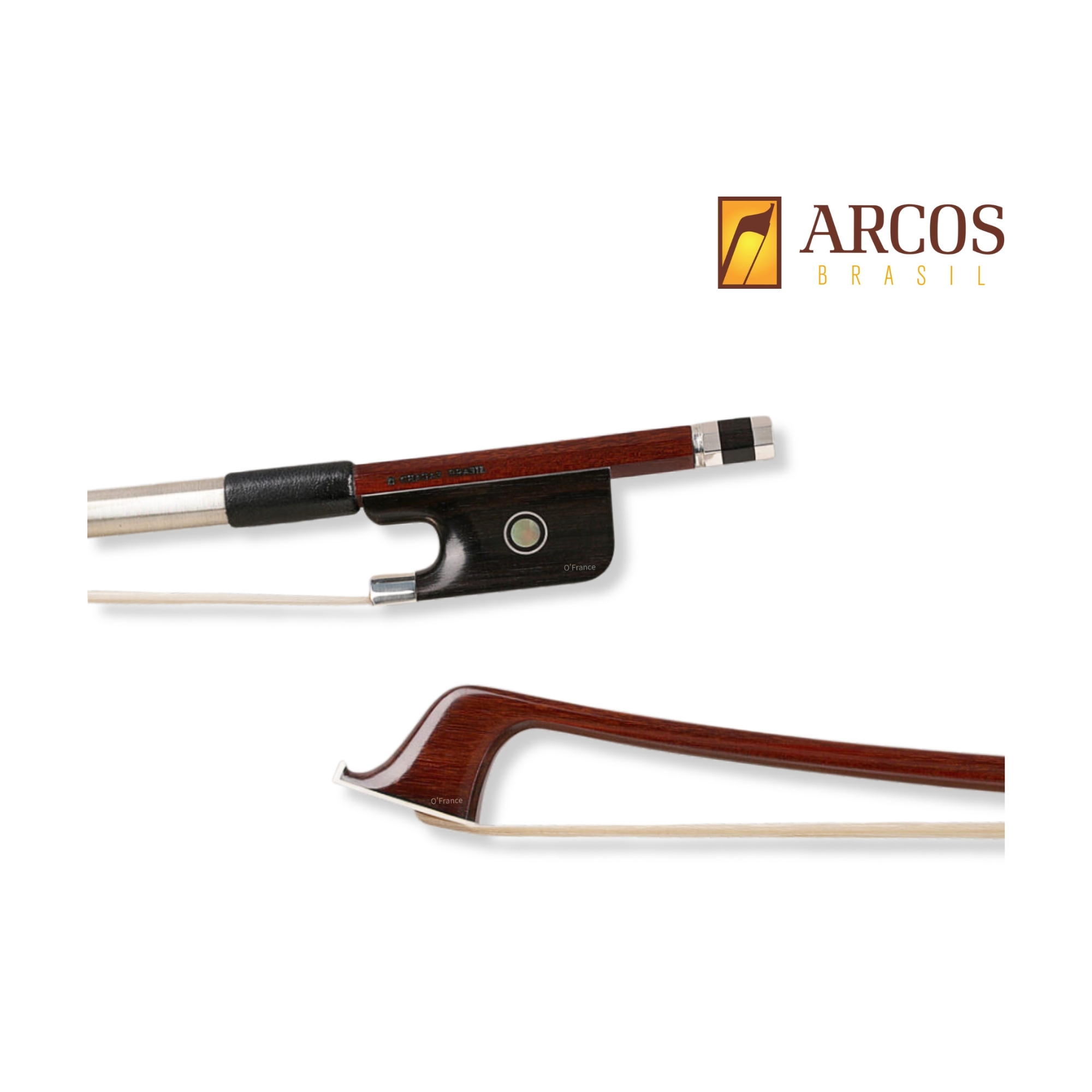 美國 Arcos 巴西蘇木弓 (Pernambuco)