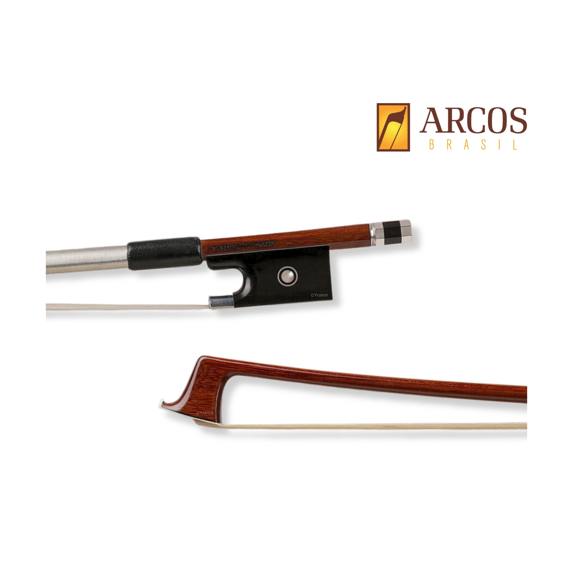 美國 Arcos 巴西蘇木弓 (Pernambuco)