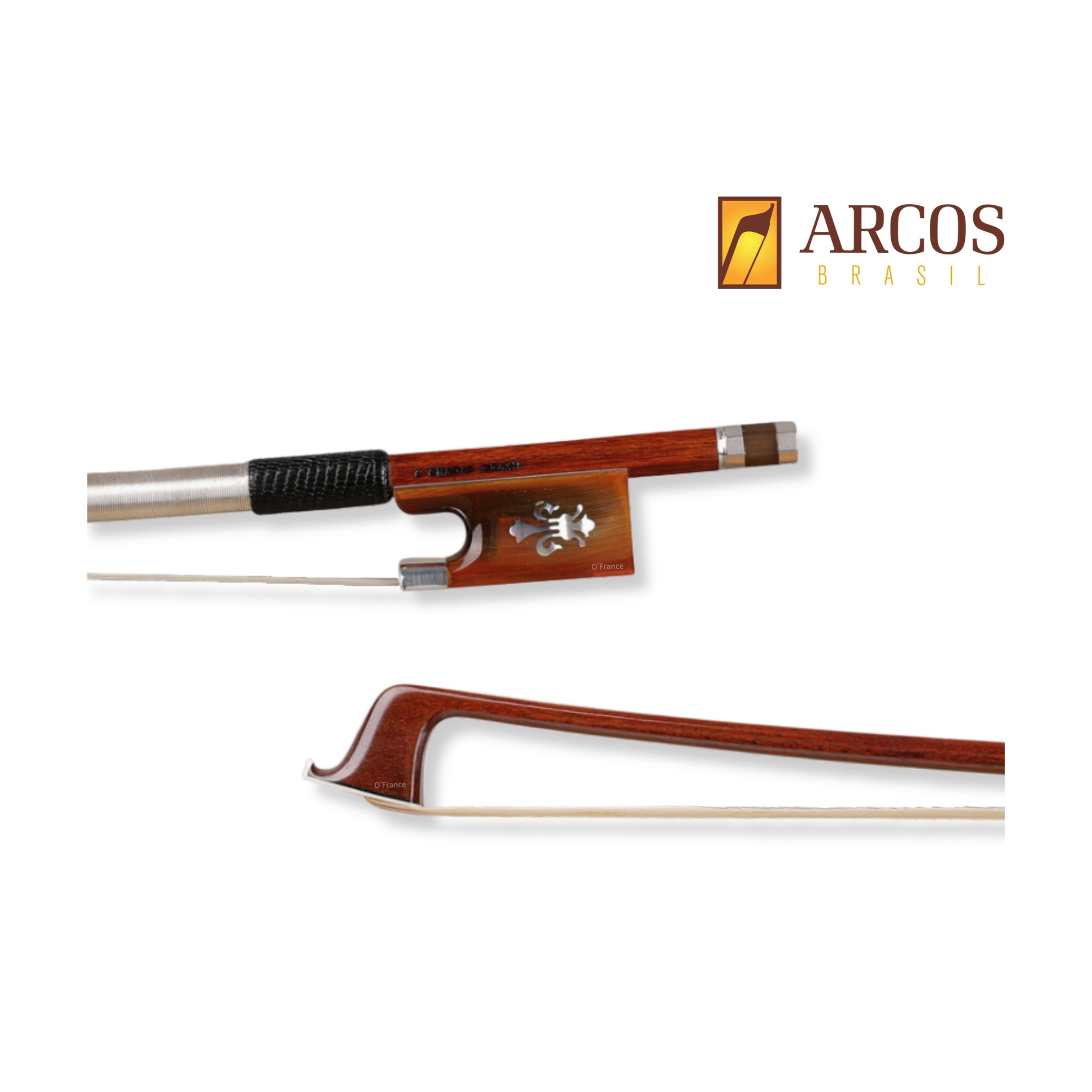 美國 Arcos 巴西蘇木弓 (Pernambuco)