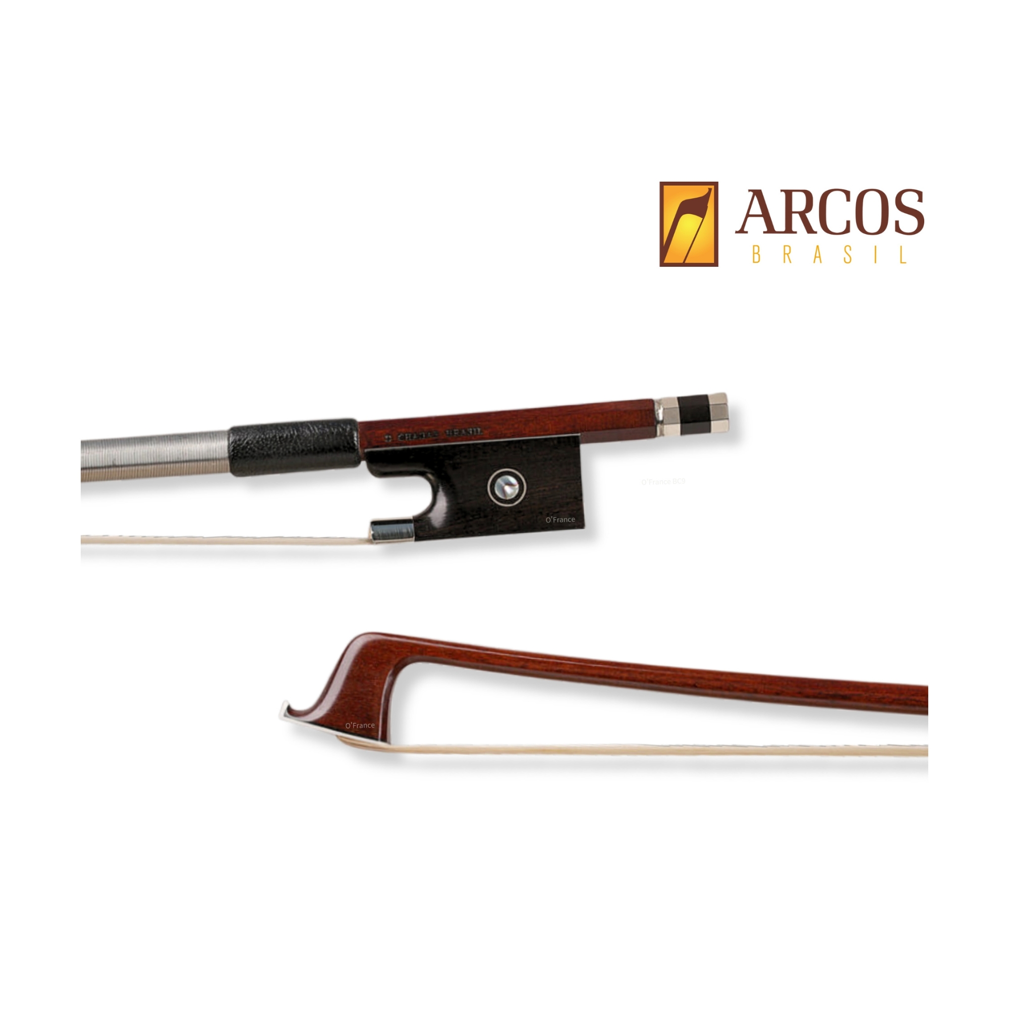 美國 Arcos 巴西蘇木弓 (Pernambuco)