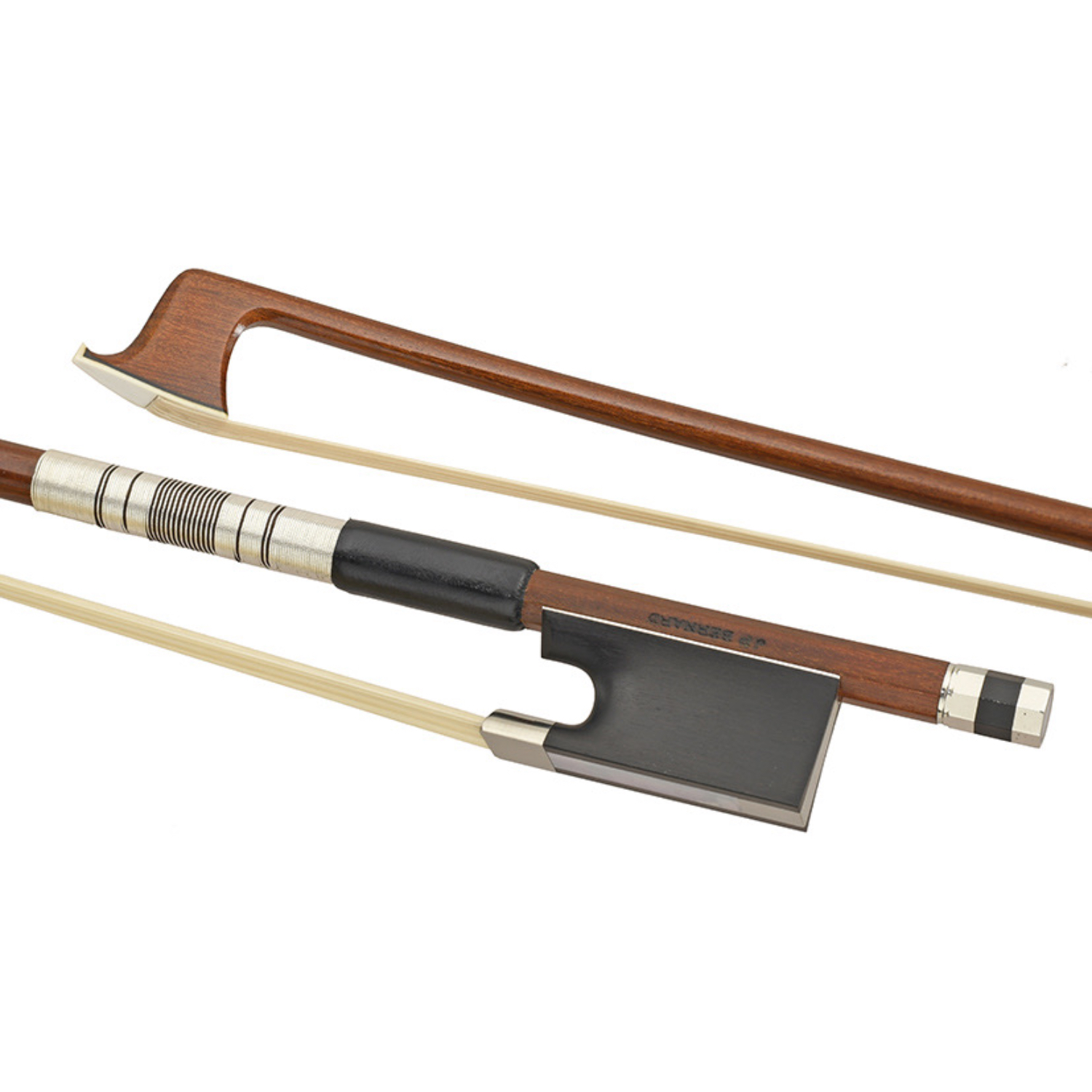 比利時 J.P. Bernard 巴西蘇木弓 (Pernambuco)