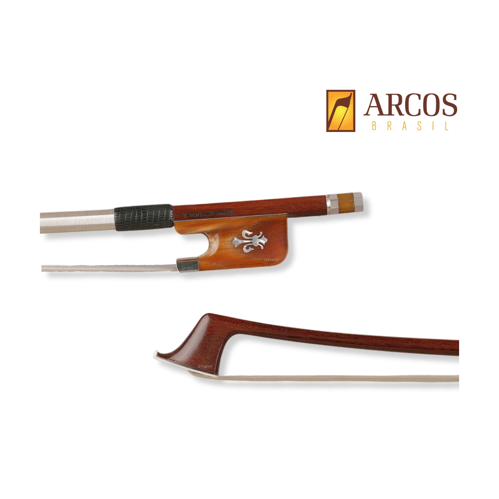 美國 Arcos 巴西蘇木弓 (Pernambuco)