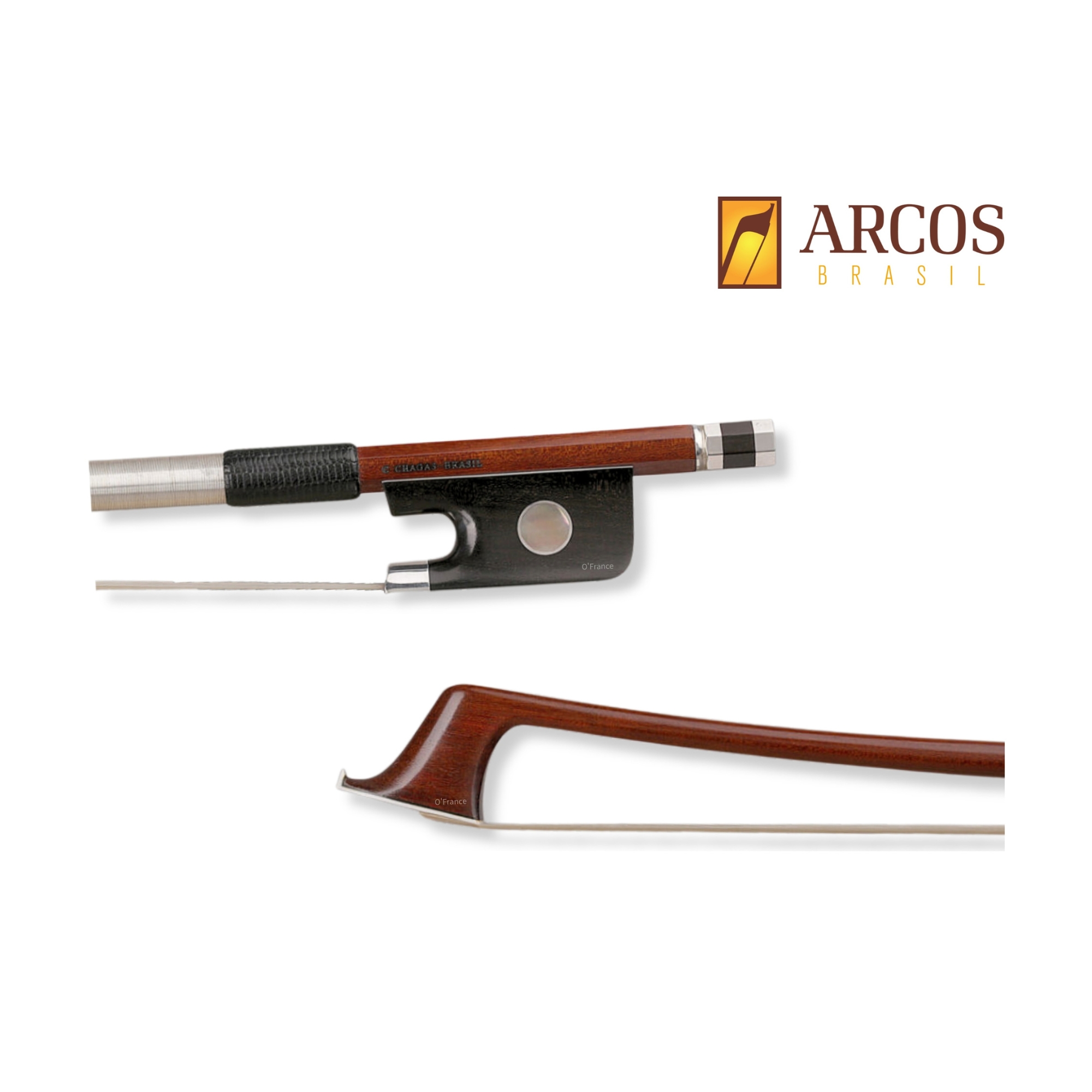 美國 Arcos 巴西蘇木弓 (Pernambuco)