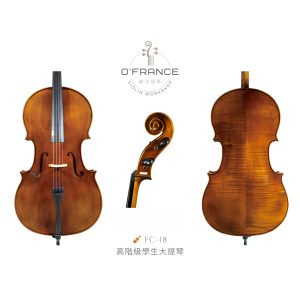 ✨新上市✨高階級學生琴