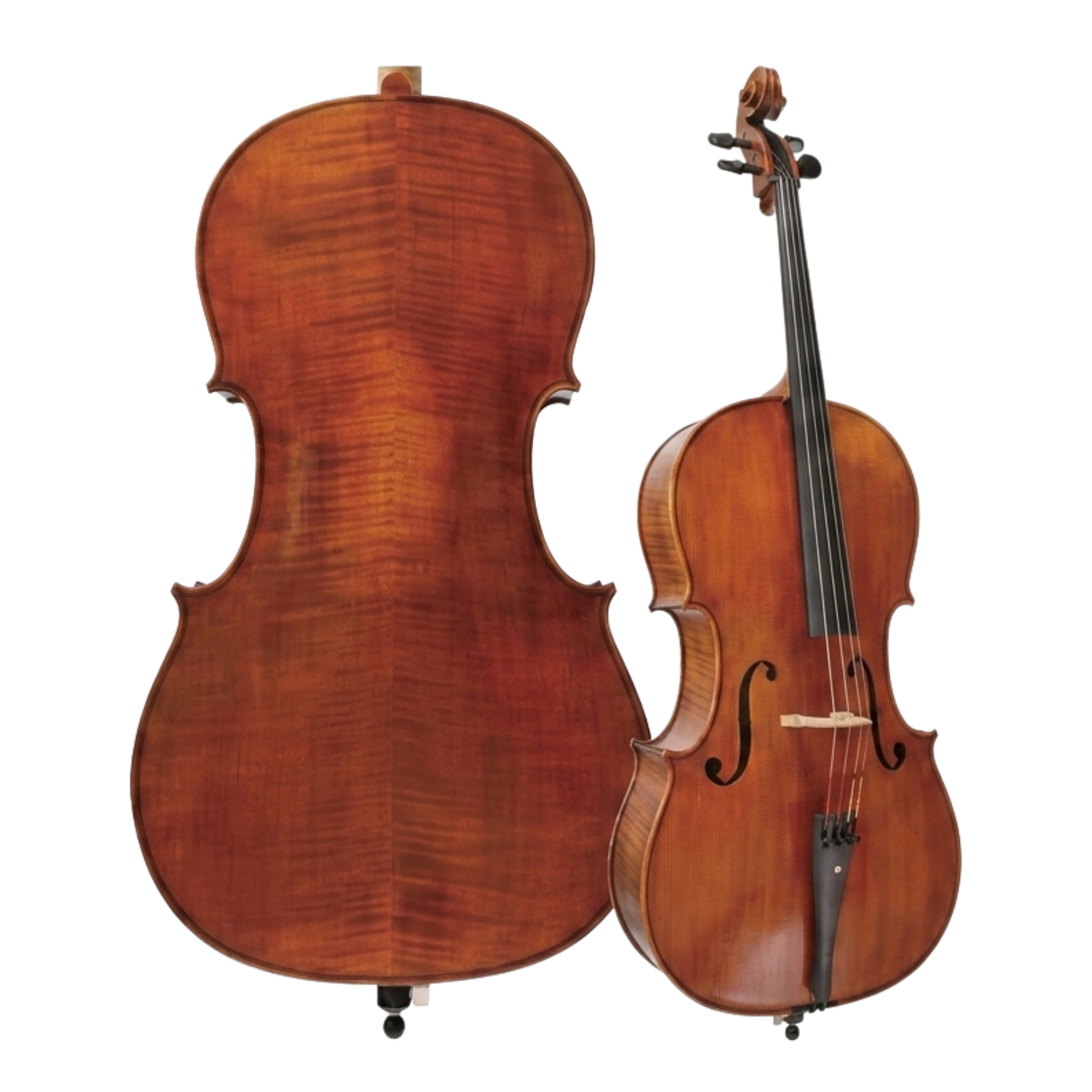 🇩🇪德國 Anton Stohr   大提琴